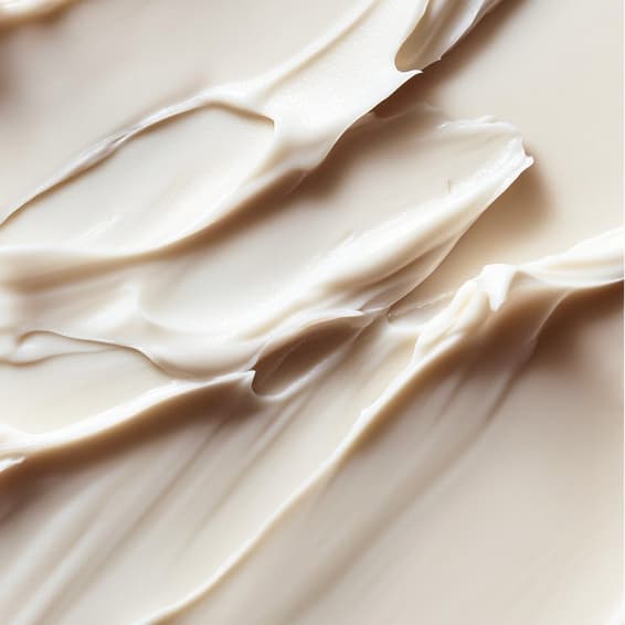 The Essential at Aura Haus in Sherman Oaks, CA